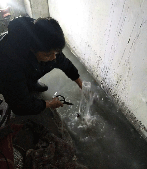 聊城莘县防水堵漏